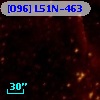 [O96] L51N-463