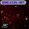 [O96] L51N-487