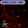 [O96] L51N-496