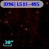[O96] L51S-485