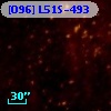 [O96] L51S-493