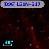 [O96] L51N-517