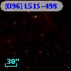 [O96] L51S-498