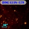 [O96] L51N-529