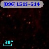 [O96] L51S-514