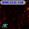 [O96] L51S-516