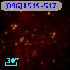 [O96] L51S-517