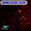 [O96] L51S-529