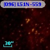 [O96] L51N-559