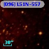 [O96] L51N-557