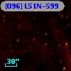 [O96] L51N-599
