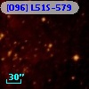[O96] L51S-579