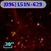 [O96] L51N-629