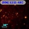[O96] L51S-602