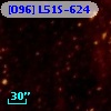 [O96] L51S-624