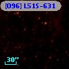 [O96] L51S-631