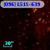[O96] L51S-639