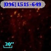 [O96] L51S-649
