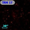 TRM  17