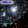 TRM  42