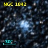 NGC  1842