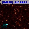 [FHW95] LMC B0501-6923