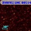 [FHW95] LMC B0514-6856