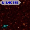 LI-LMC  975