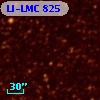 LI-LMC  825