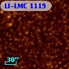 LI-LMC 1119