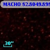 MACHO  82.8049.898