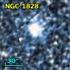 NGC  1828