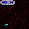 MDM  24