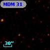 MDM  31