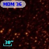 MDM  36
