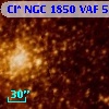 Cl* NGC 1850    VAF     559