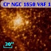 Cl* NGC 1850    VAF    1115