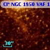 Cl* NGC 1850    VAF    1336