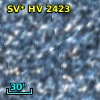 SV* HV  2423