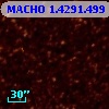 MACHO   1.4291.499