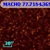 MACHO  77.7184.368