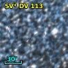 SV* DV   113