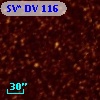 SV* DV   116