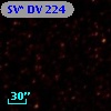 SV* DV   224