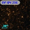 SV* DV   231
