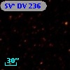SV* DV   236