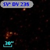SV* DV   238