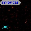 SV* DV   239