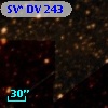 SV* DV   243