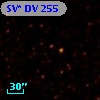 SV* DV   255